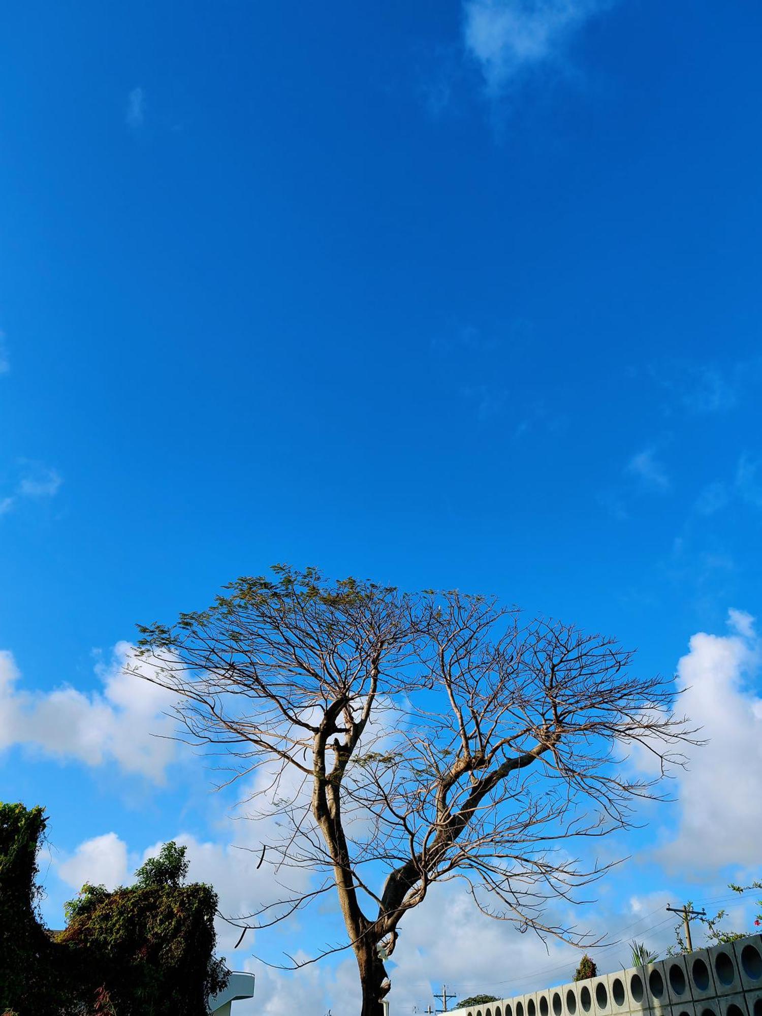 גרפאן Discovery Saipan Hotel מראה חיצוני תמונה